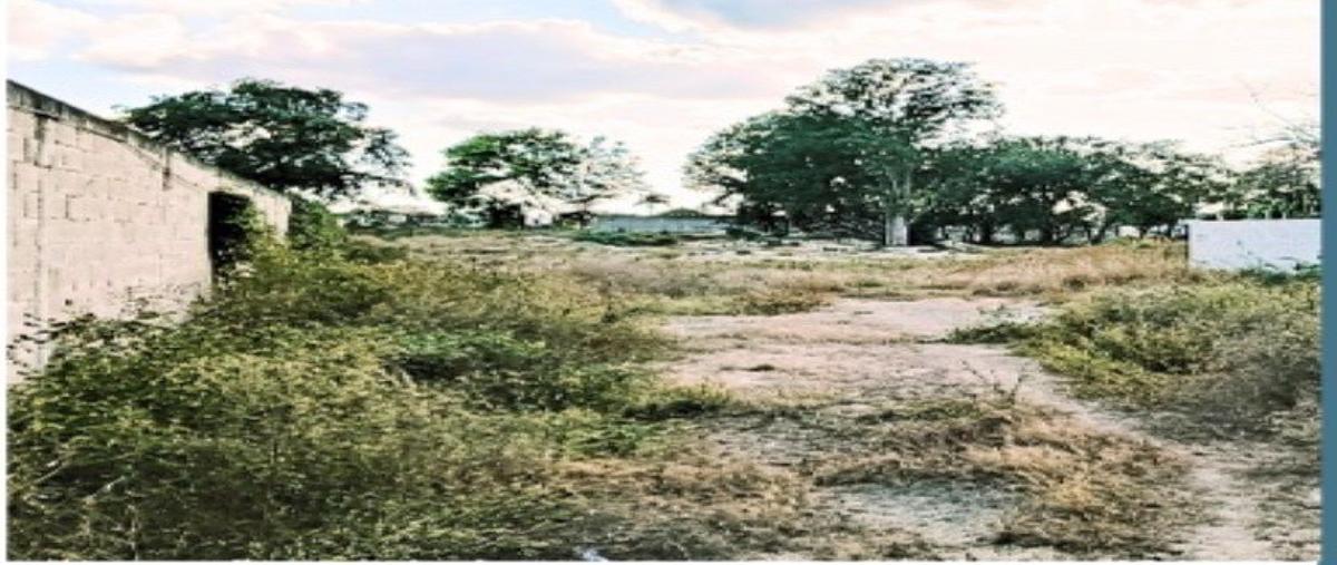 Foto de terreno habitacional en venta en s/n , obrera, mérida, yucatán, 30768594 No. 05