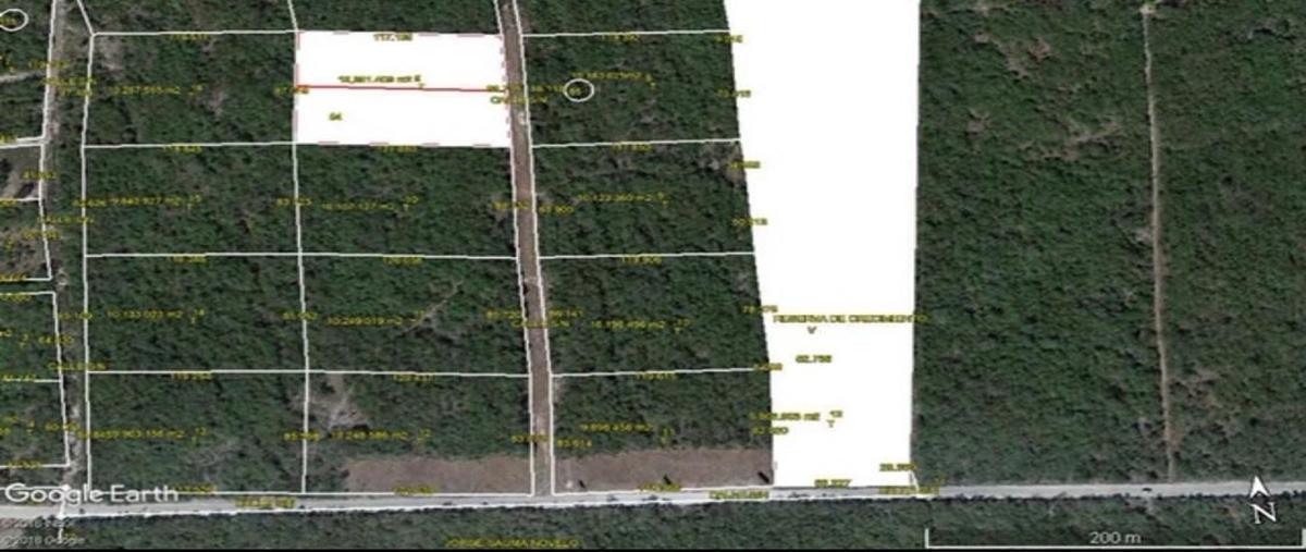 Foto de terreno habitacional en venta en sn , paraíso, mérida, yucatán, 0 No. 03