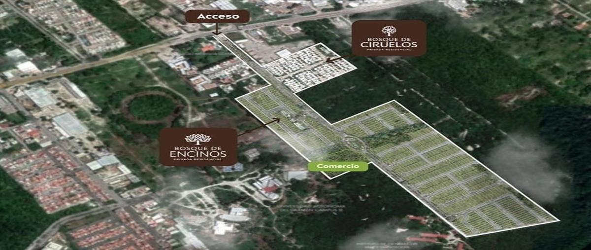 Foto de terreno habitacional en venta en s/n , paseo de los bosques, carmen, campeche, 0 No. 03