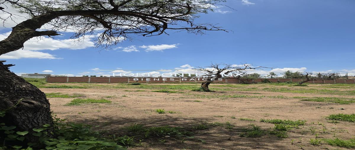 Foto de terreno habitacional en venta en s/n , puentecillas, guanajuato, guanajuato, 0 No. 05