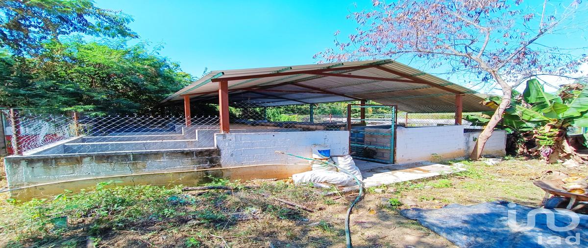 Foto de terreno habitacional en s/n , puerto méxico, acala, chiapas, 0 foto 05 Foto de terreno habitacional en venta en s/n , puerto méxico, acala, chiapas, 0 No. 05