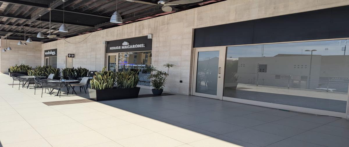 Foto de local en renta en s/n , residencial el fresno, torreón, coahuila de zaragoza, 28458329 No. 09