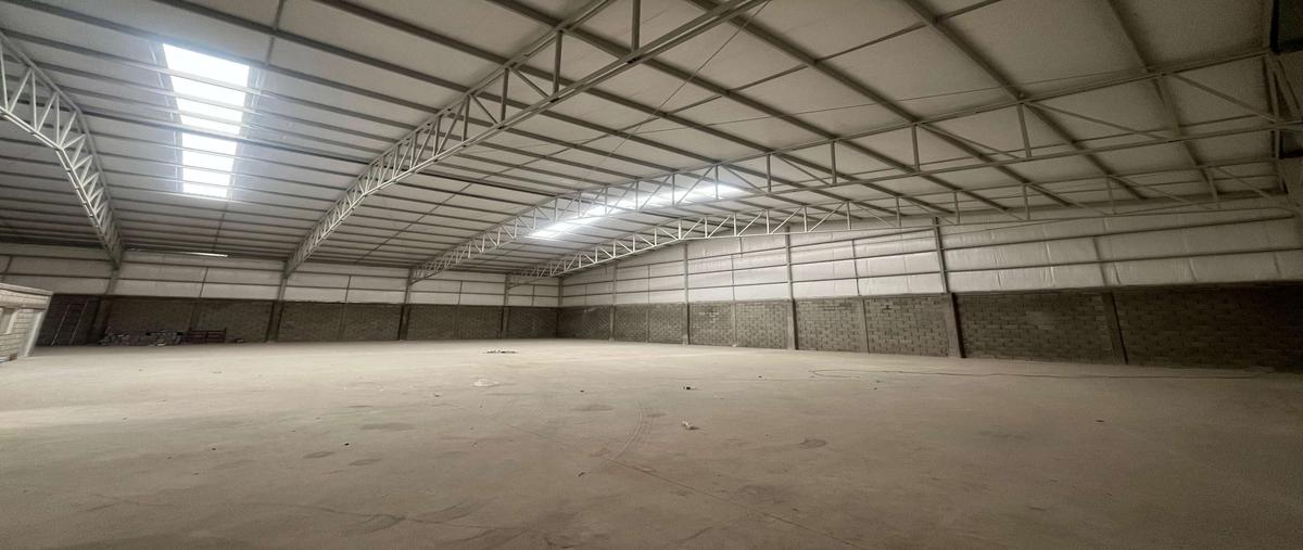 Foto de bodega en renta en s/n , residencial las torres, torreón, coahuila de zaragoza, 30246996 No. 03