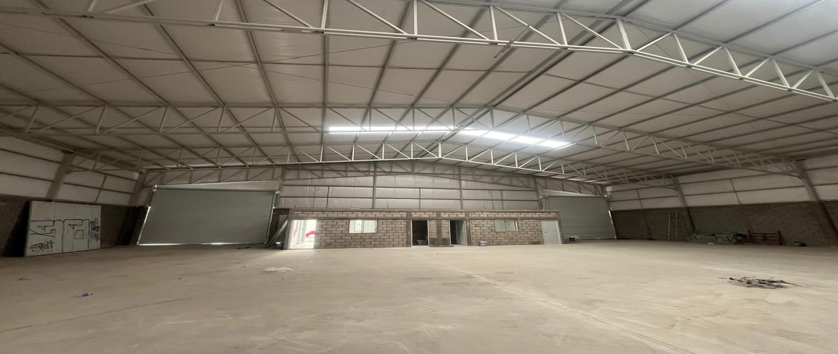 Foto de bodega en renta en s/n , residencial las torres, torreón, coahuila de zaragoza, 30246996 No. 04