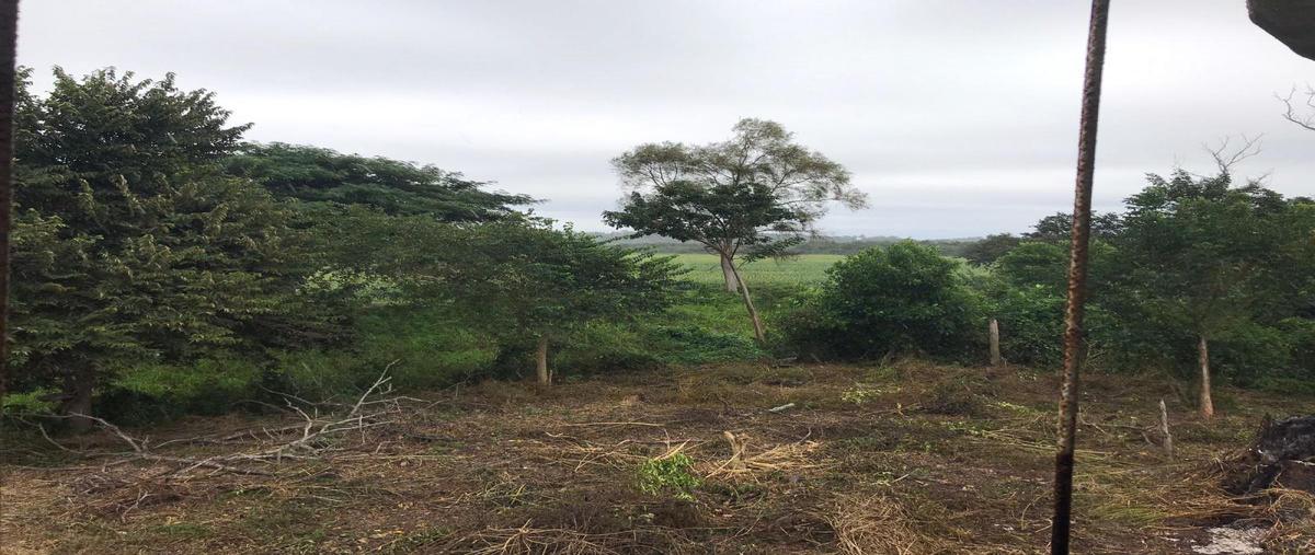 Foto de terreno habitacional en renta en s/n , reventadero, pánuco, veracruz de ignacio de la llave, 0 No. 04