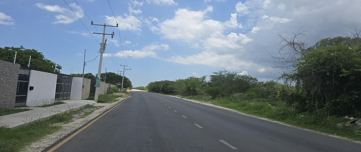 Foto de terreno habitacional en venta en s/n , san antonio hool, mérida, yucatán, 0 No. 03