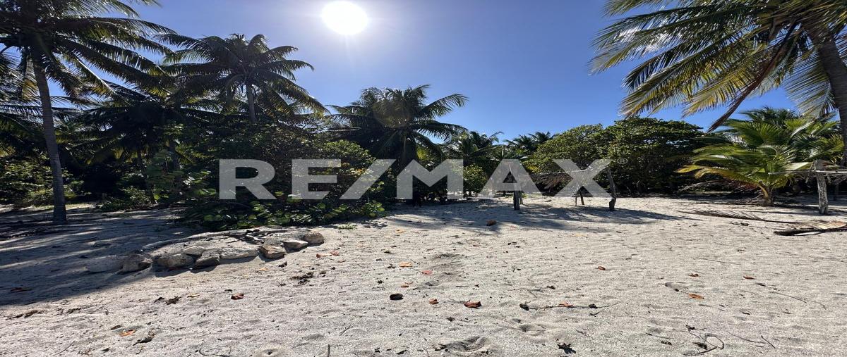 Foto de terreno habitacional en s/n , san crisanto, sinanché, yucatán, 0 foto 04 Foto de terreno habitacional en venta en s/n , san crisanto, sinanché, yucatán, 0 No. 04