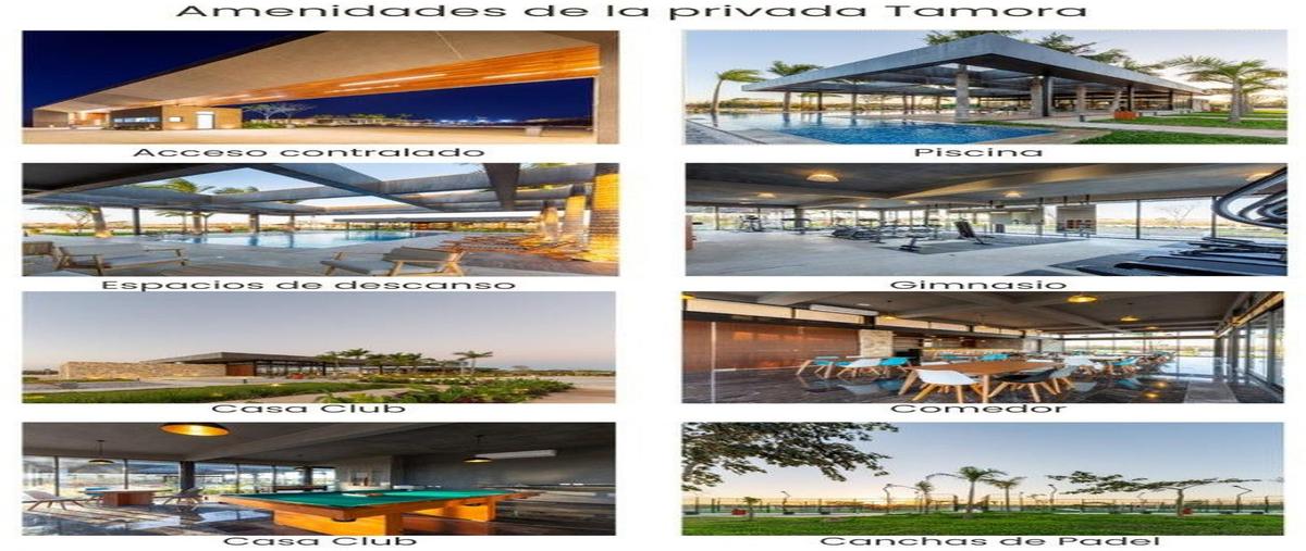 Foto de casa en venta en s/n , san diego cutz, conkal, yucatán, 31093974 No. 05