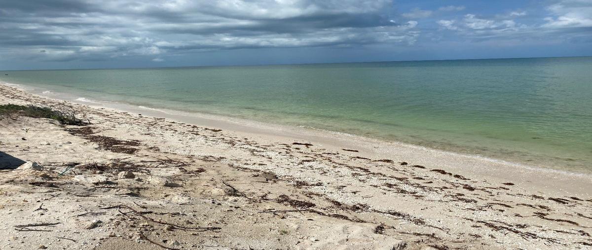 Foto de rancho en venta en sn , san diego, dzemul, yucatán, 28286144 No. 04