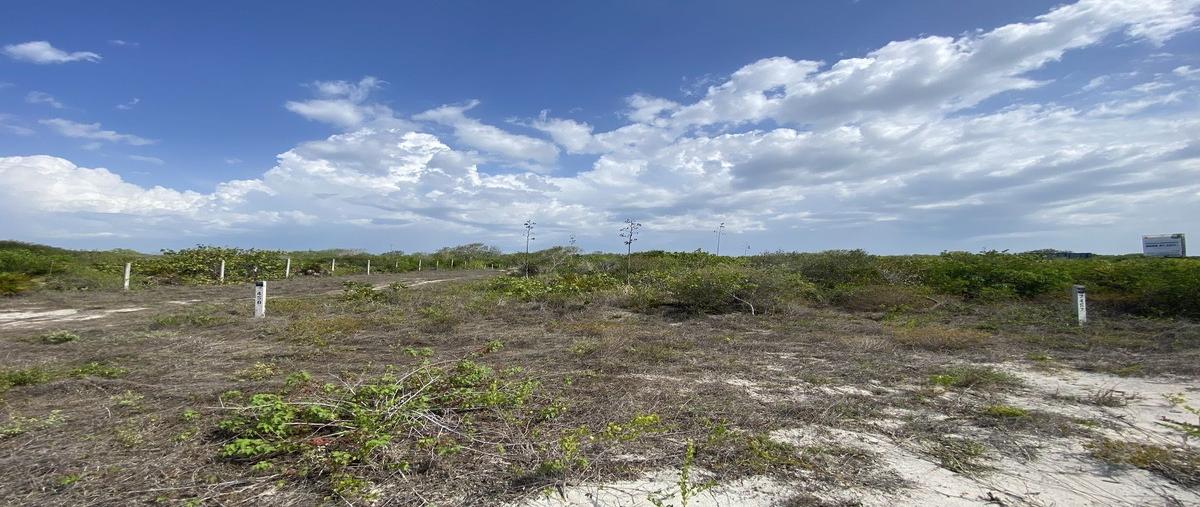 Foto de terreno habitacional en venta en s/n , san diego, dzemul, yucatán, 0 No. 03