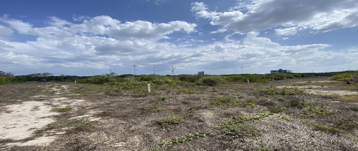 Foto de terreno habitacional en venta en s/n , san diego, dzemul, yucatán, 0 No. 04