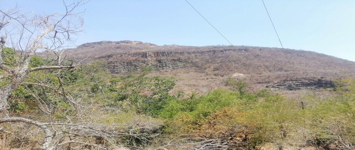 Foto de terreno habitacional en venta en sn , san francisco ixcatan, zapopan, jalisco, 29838061 No. 03