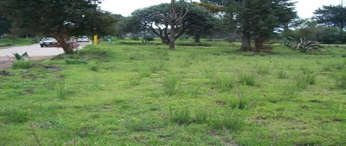 Foto de terreno comercial en venta en s/n , san francisco tlacuilohcan, yauhquemehcan, tlaxcala, 5374616 No. 02
