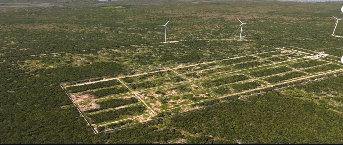 Foto de terreno habitacional en s/n , san ignacio, progreso, yucatán, 0 foto 05 Foto de terreno habitacional en venta en s/n , san ignacio, progreso, yucatán, 0 No. 05