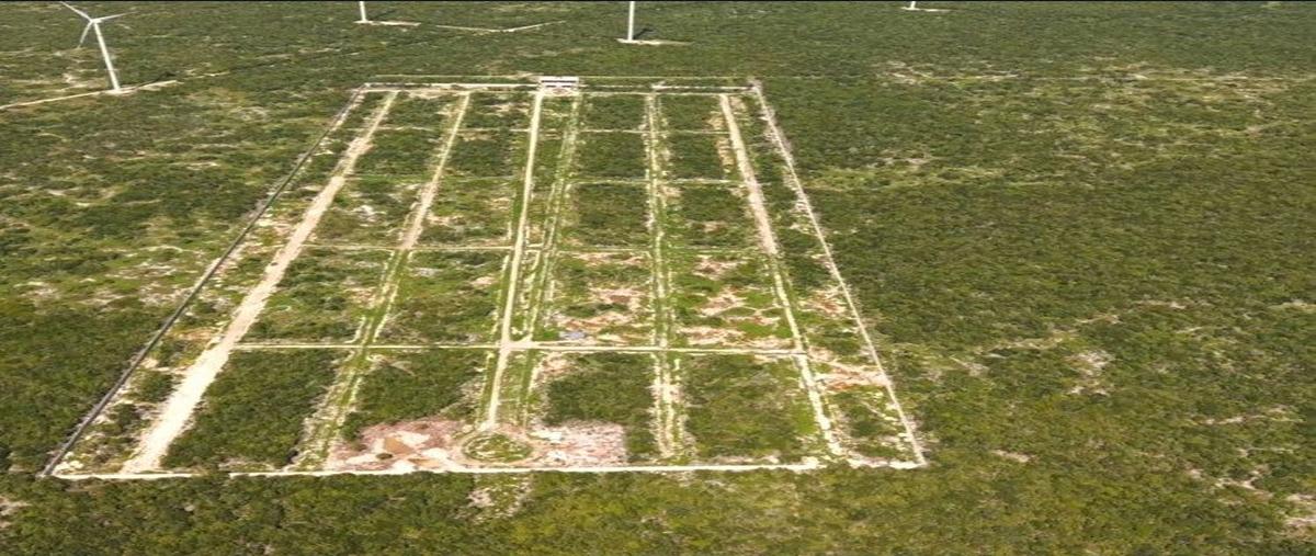 Foto de terreno habitacional en s/n , san ignacio, progreso, yucatán, 0 foto 06 Foto de terreno habitacional en venta en s/n , san ignacio, progreso, yucatán, 0 No. 06