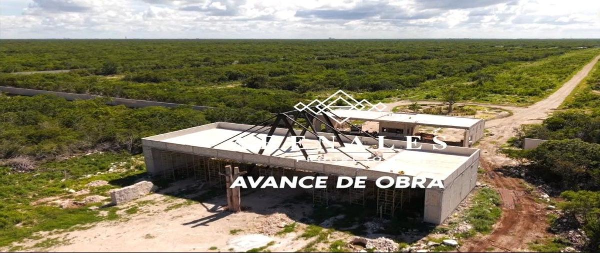 Foto de terreno habitacional en s/n , san ignacio, progreso, yucatán, 0 foto 07 Foto de terreno habitacional en venta en s/n , san ignacio, progreso, yucatán, 0 No. 07