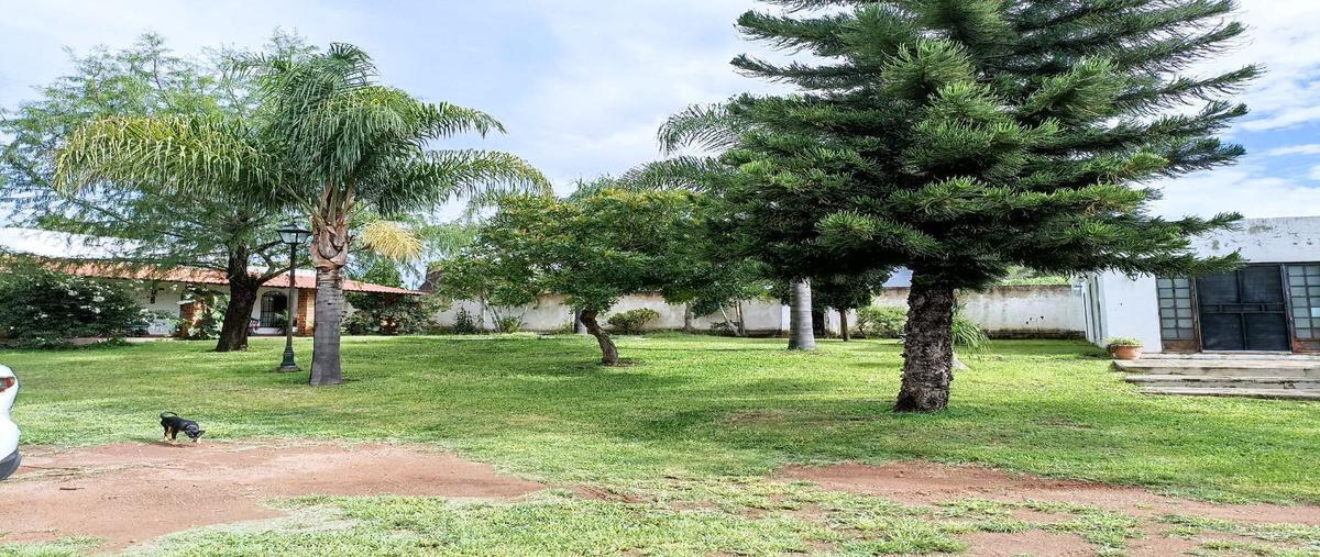 Foto de rancho en venta en s/n , san isidro mazatepec, tala, jalisco, 27363783 No. 04