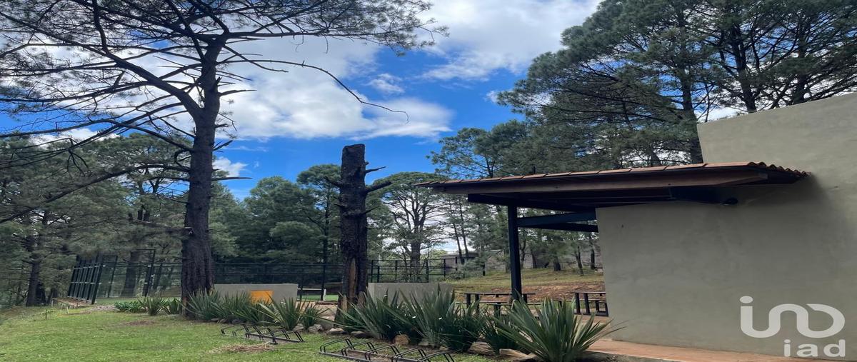 Foto de terreno habitacional en venta en sn , san josé de las torres, morelia, michoacán de ocampo, 0 No. 04