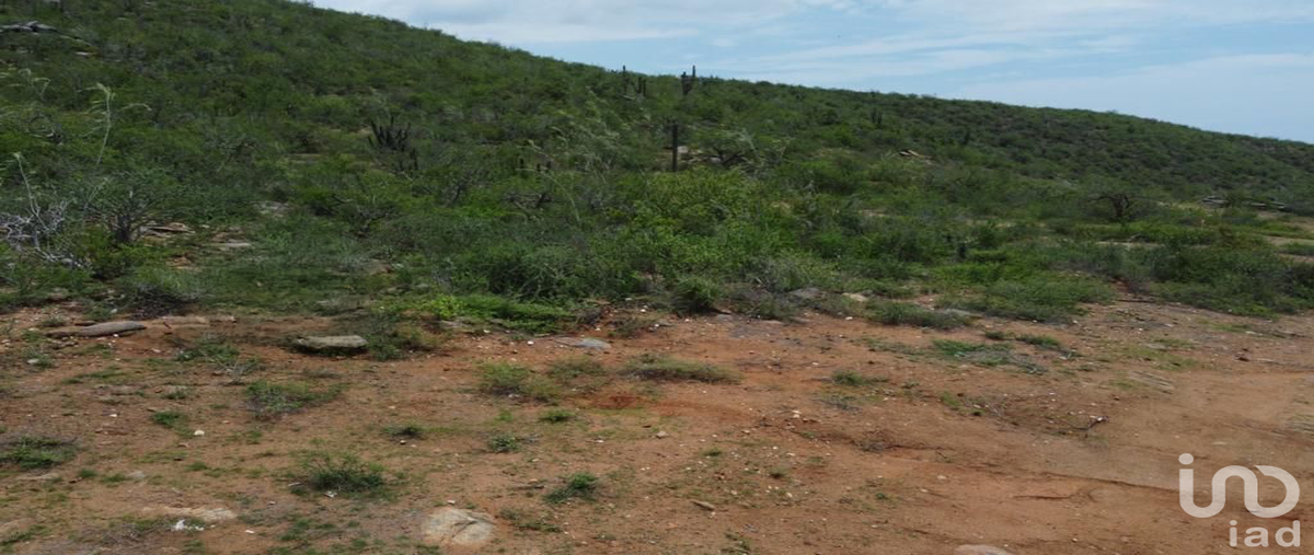 Foto de terreno habitacional en venta en s/n , san juan, la paz, baja california sur, 0 No. 04