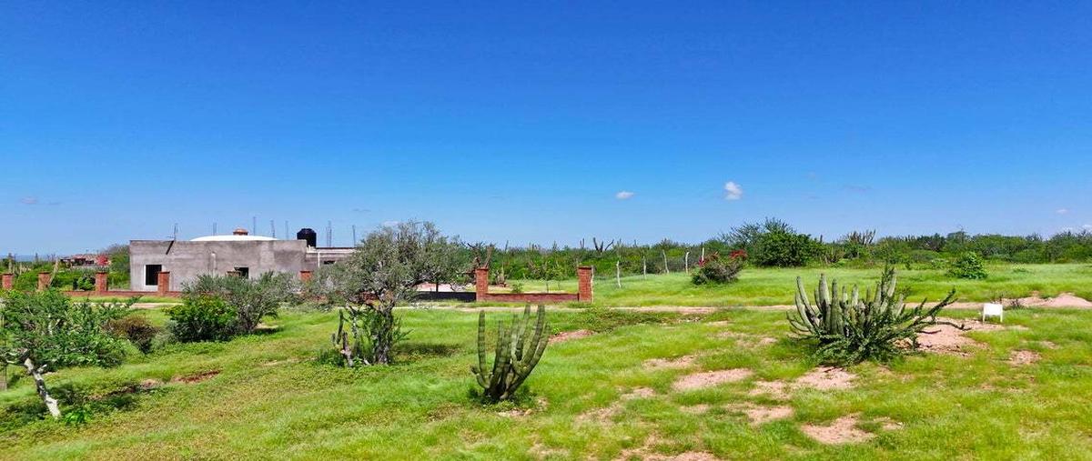 Foto de terreno habitacional en venta en sn , san pedro, la paz, baja california sur, 30257373 No. 03