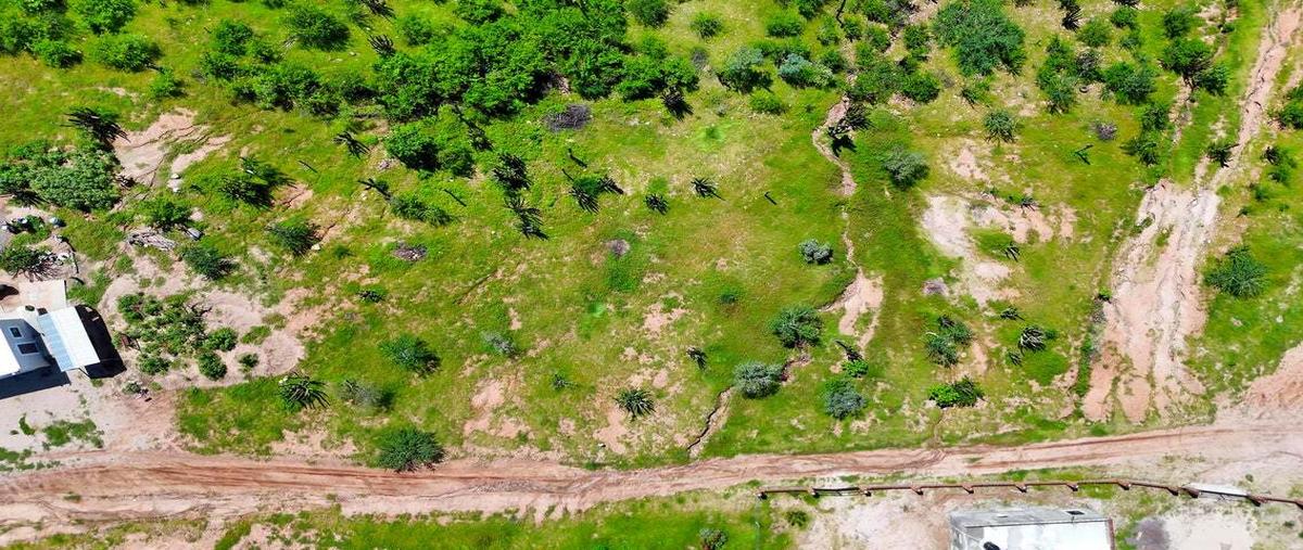 Foto de terreno habitacional en venta en sn , san pedro, la paz, baja california sur, 30257373 No. 05