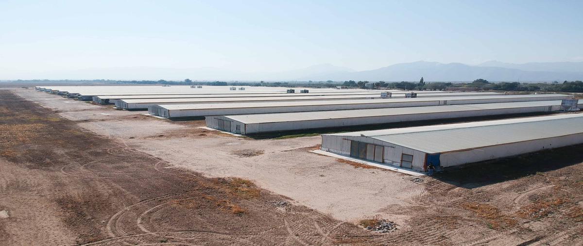 Foto de terreno comercial en s/n , san roque, gómez palacio, durango, 28199674 foto 01 Foto de terreno comercial en venta en s/n , san roque, gómez palacio, durango, 28199674 No. 01