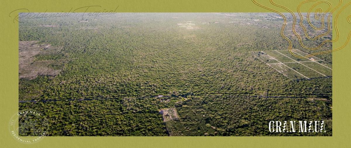 Foto de terreno habitacional en venta en sn , santa clara, dzidzantún, yucatán, 27241453 No. 05