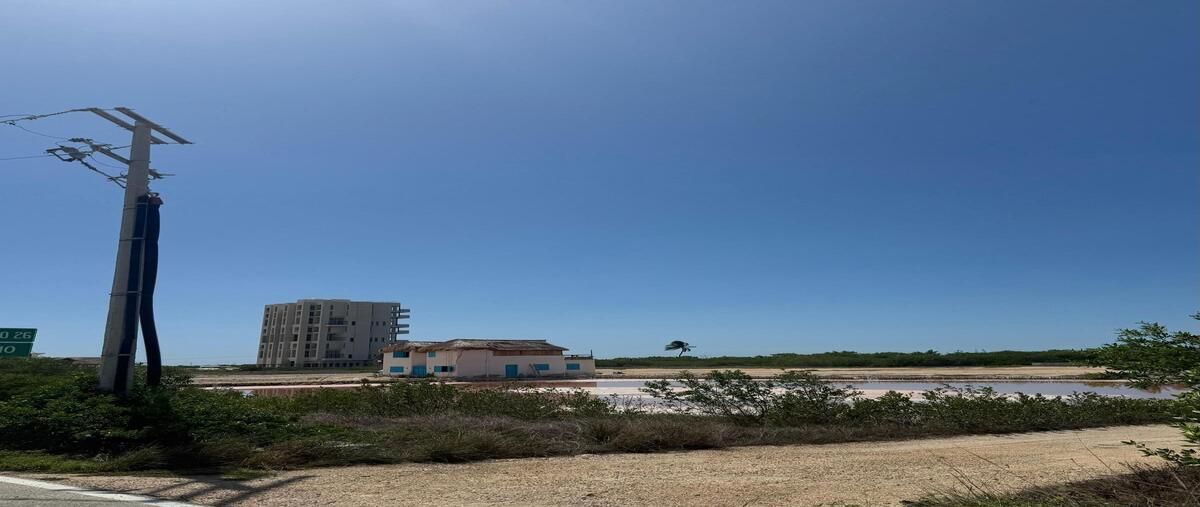 Foto de terreno habitacional en venta en sn , santa clara, dzidzantún, yucatán, 30205408 No. 04