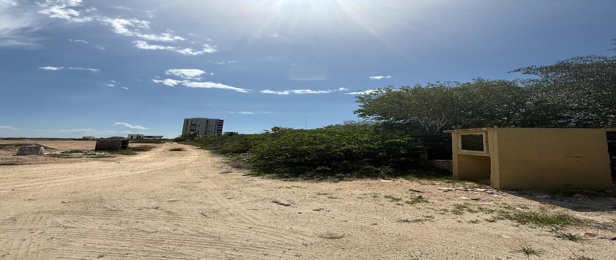Foto de terreno habitacional en venta en sn , santa clara, dzidzantún, yucatán, 30205408 No. 05