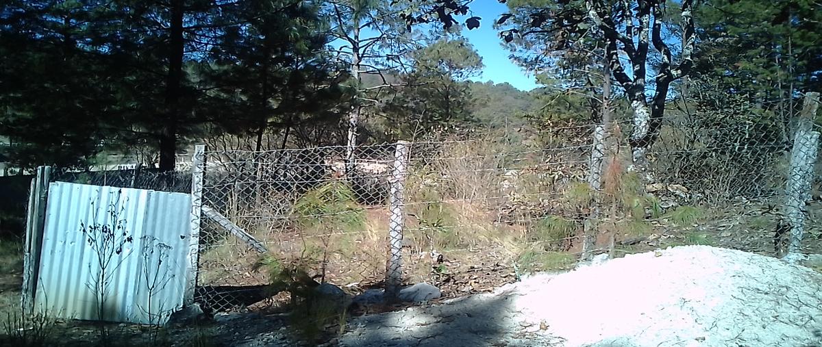 Foto de terreno habitacional en venta en sn , santa cruz almolonga, san cristóbal de las casas, chiapas, 0 No. 03