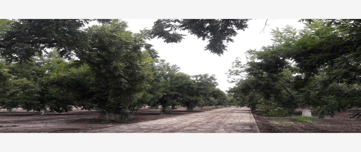 Foto de terreno habitacional en s/n , santa cruz luján, gómez palacio, durango, 5952017 foto 01 Foto de terreno habitacional en venta en s/n , santa cruz luján, gómez palacio, durango, 5952017 No. 01