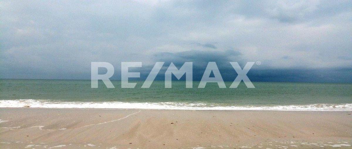 Foto de terreno habitacional en venta en sn , santa cruz xixim, celestún, yucatán, 0 No. 03