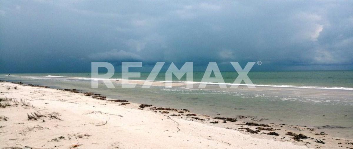 Foto de terreno habitacional en venta en sn , santa cruz xixim, celestún, yucatán, 0 No. 04
