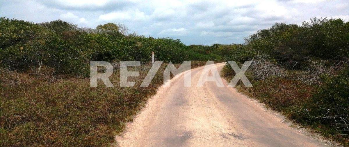 Foto de terreno habitacional en venta en sn , santa cruz xixim, celestún, yucatán, 0 No. 05