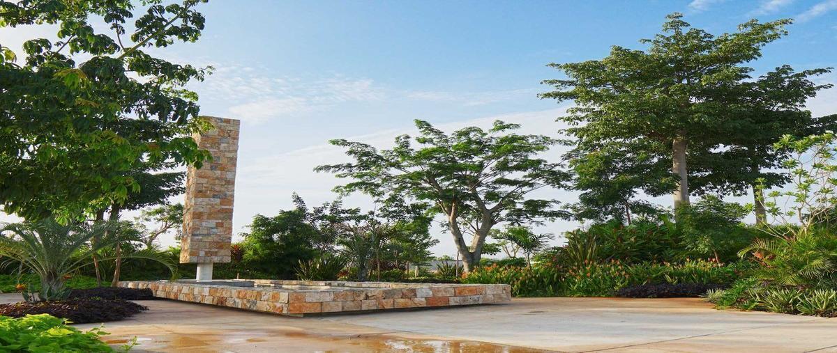 Foto de terreno habitacional en venta en sn , santa gertrudis copo, mérida, yucatán, 28250405 No. 03