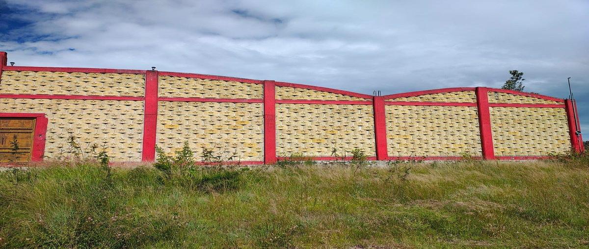 Foto de terreno habitacional en venta en s/n , santa isabel cholula, santa isabel cholula, puebla, 0 No. 03