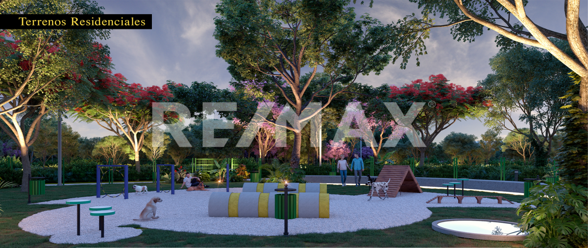 Foto de terreno habitacional en venta en s/n , santa maria chi, mérida, yucatán, 0 No. 05