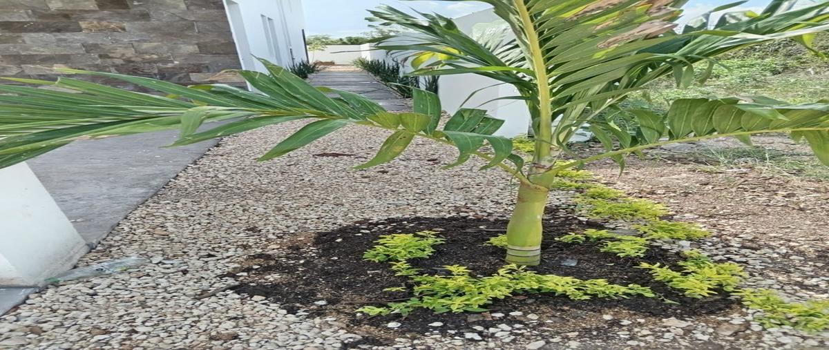 Foto de casa en renta en s/n , santa maría rosas, conkal, yucatán, 0 No. 05