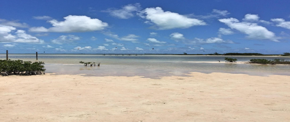 Foto de terreno comercial en venta en sn , santa rosa, isla mujeres, quintana roo, 0 No. 03