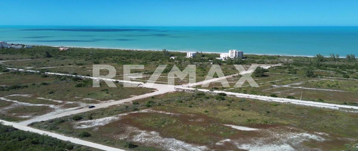 Foto de terreno habitacional en sn , sisal, hunucmá, yucatán, 0 foto 02 Foto de terreno habitacional en venta en sn , sisal, hunucmá, yucatán, 0 No. 02