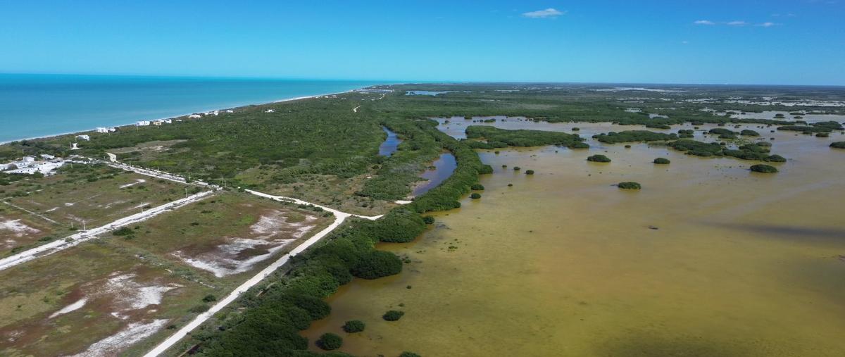 Foto de terreno habitacional en venta en sn , sisal, hunucmá, yucatán, 27992788 No. 04
