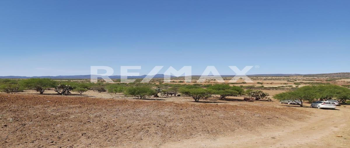 Foto de terreno comercial en s/n , suchil centro, súchil, durango, 28463984 foto 05 Foto de terreno comercial en venta en s/n , suchil centro, súchil, durango, 28463984 No. 05