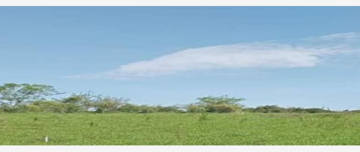 Foto de terreno comercial en venta en s/n , suchitlán, comala, colima, 27784383 No. 01