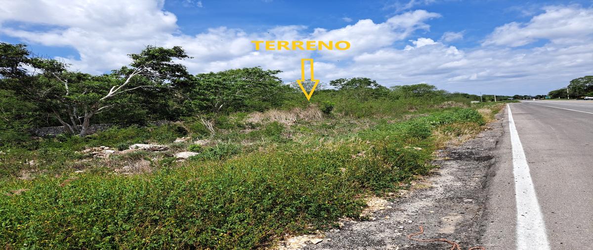 Foto de terreno comercial en sn , tanya, motul, yucatán, 26556896 foto 01 Foto de terreno comercial en venta en sn , tanya, motul, yucatán, 26556896 No. 01