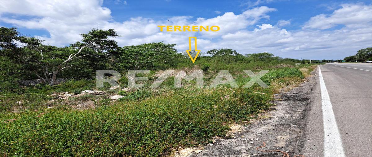 Foto de terreno comercial en sn , tanya, motul, yucatán, 26556896 foto 01 Foto de terreno comercial en venta en sn , tanya, motul, yucatán, 26556896 No. 01
