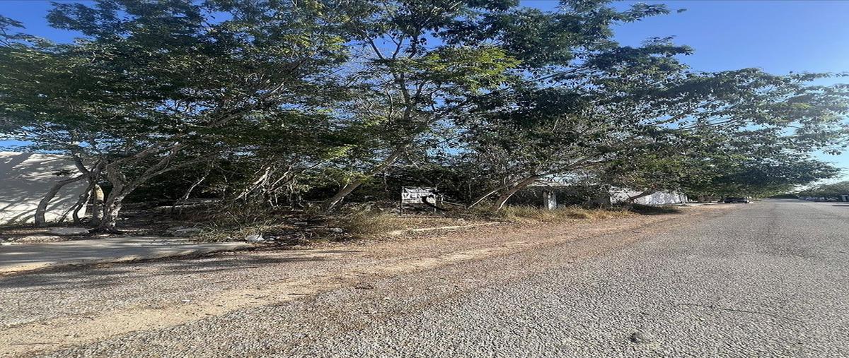 Foto de terreno habitacional en sn , temozon norte, mérida, yucatán, 28713377 foto 05 Foto de terreno habitacional en venta en sn , temozon norte, mérida, yucatán, 28713377 No. 05