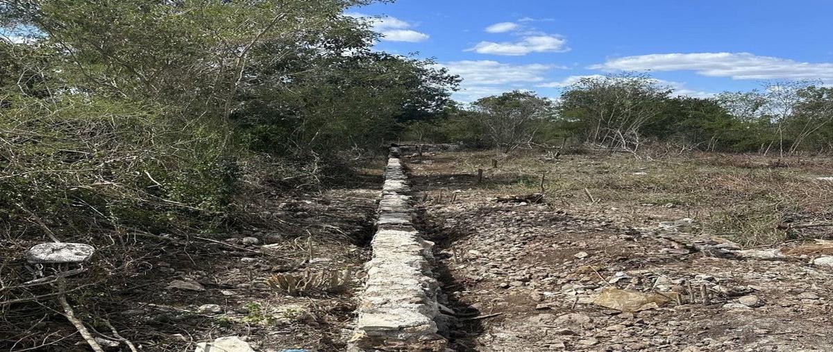 Foto de terreno habitacional en venta en sn , temozon norte, mérida, yucatán, 0 No. 03