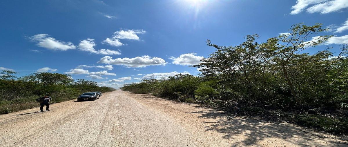 Foto de terreno habitacional en venta en sn , texan palomeque, hunucmá, yucatán, 0 No. 05