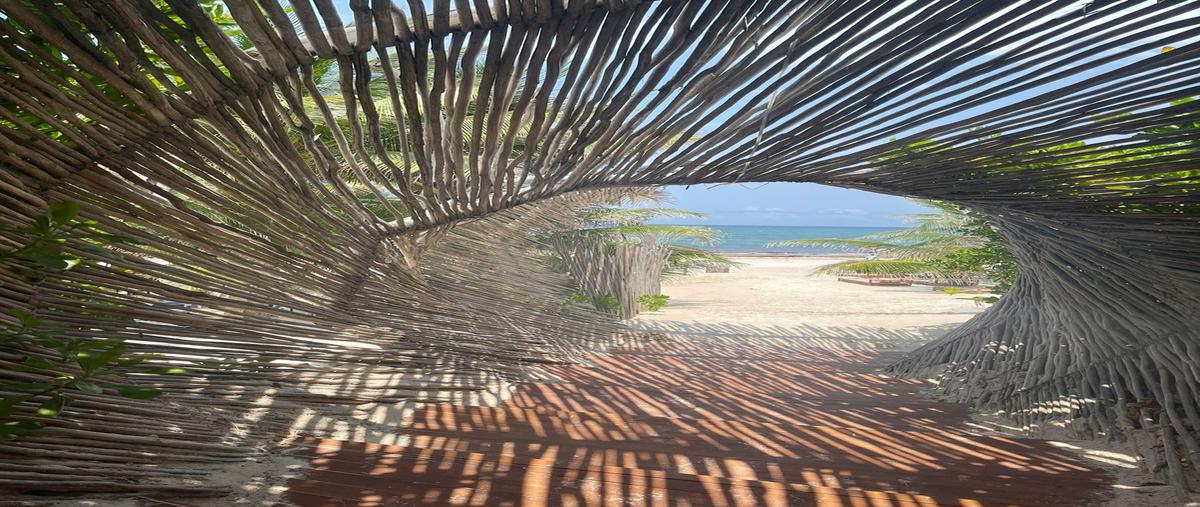 Foto de terreno habitacional en venta en s/n , tulum centro, tulum, quintana roo, 29860455 No. 11