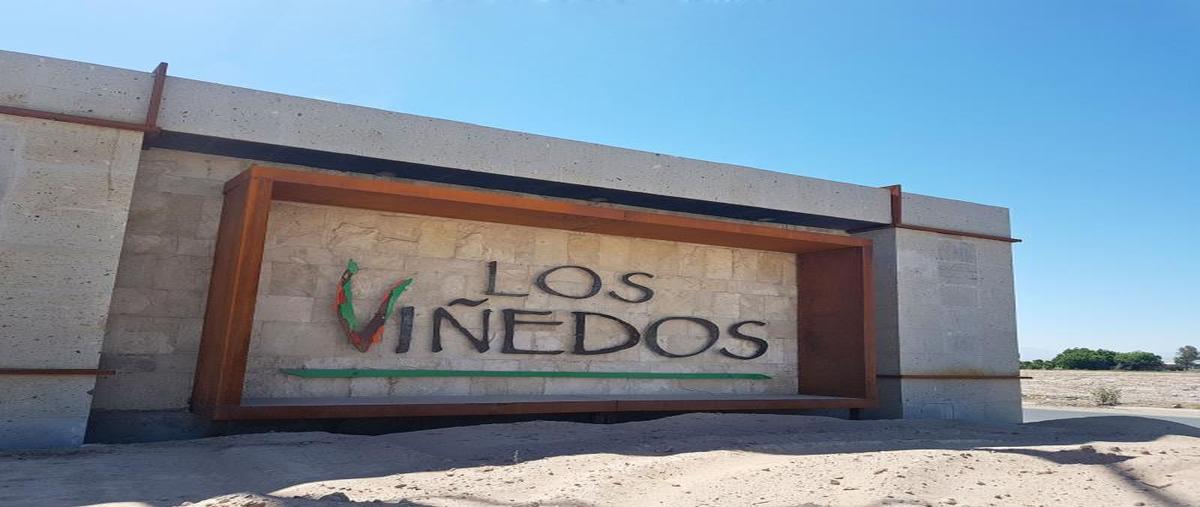 Foto de terreno habitacional en venta en s/n , villa de las palmas, torreón, coahuila de zaragoza, 30221822 No. 04